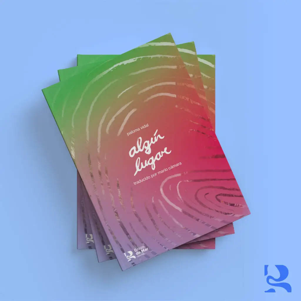 Algún lugar - Paloma Vidal